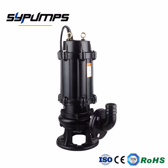 Liancheng Wq Series Submersible Sewage Water Pump (10)