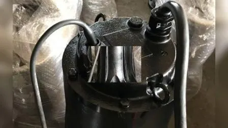 Liancheng Wq Series Submersible Sewage Water Pump (10)